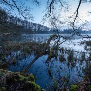 brenn:werk – Newsletter 032